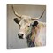 Stupell Industries Raymond White Cow Painting Canvas By Linda Sperruzzi